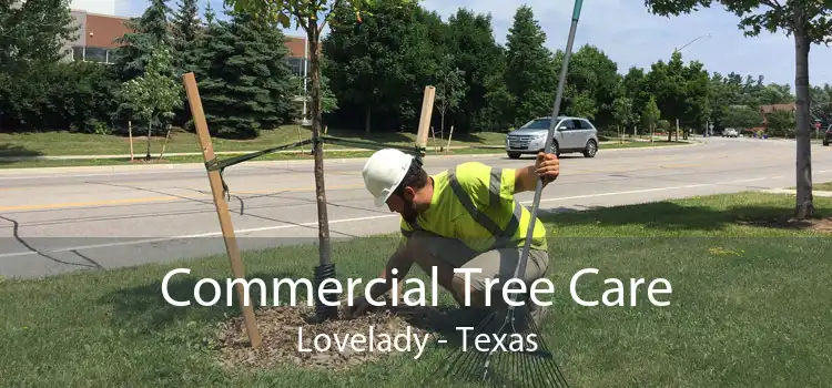 Commercial Tree Care Lovelady - Texas