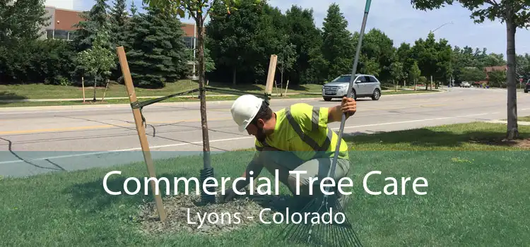 Commercial Tree Care Lyons - Colorado