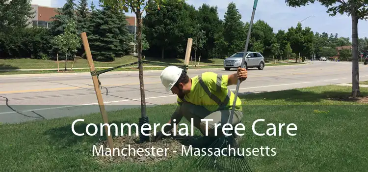 Commercial Tree Care Manchester - Massachusetts