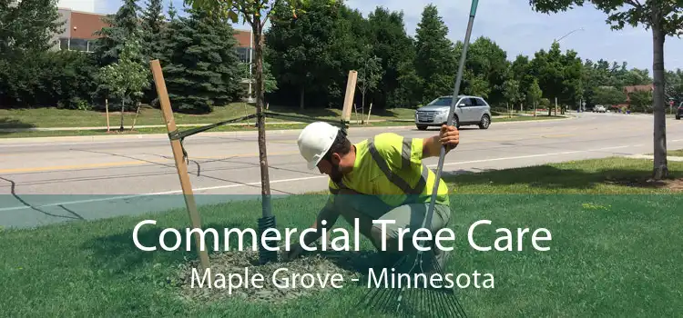 Commercial Tree Care Maple Grove - Minnesota