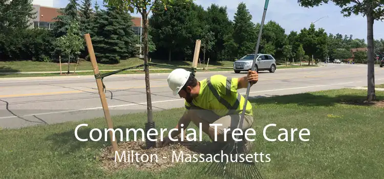 Commercial Tree Care Milton - Massachusetts