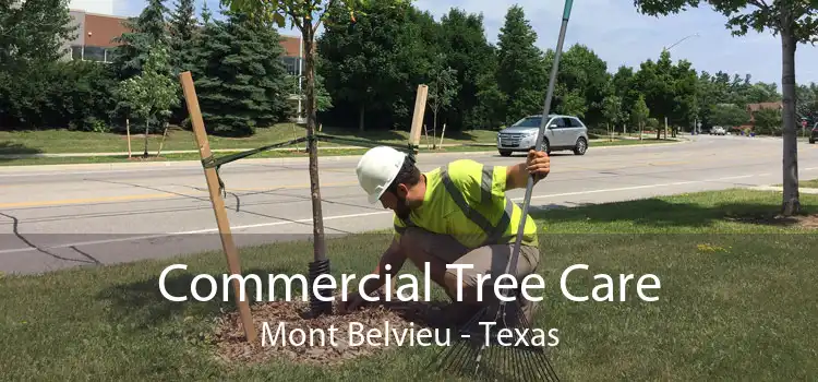 Commercial Tree Care Mont Belvieu - Texas