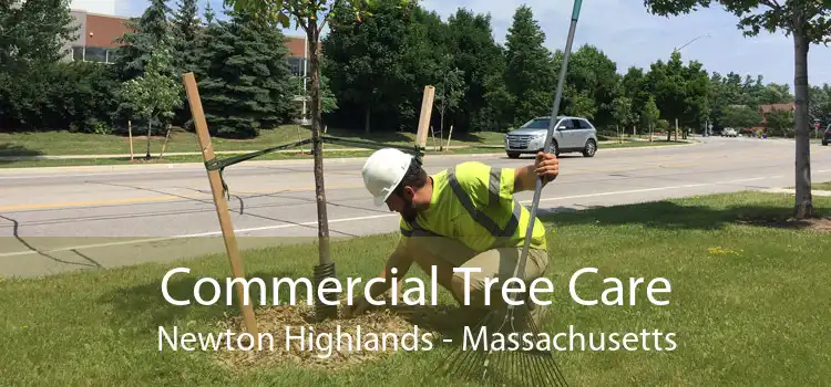 Commercial Tree Care Newton Highlands - Massachusetts