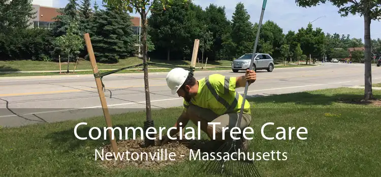 Commercial Tree Care Newtonville - Massachusetts