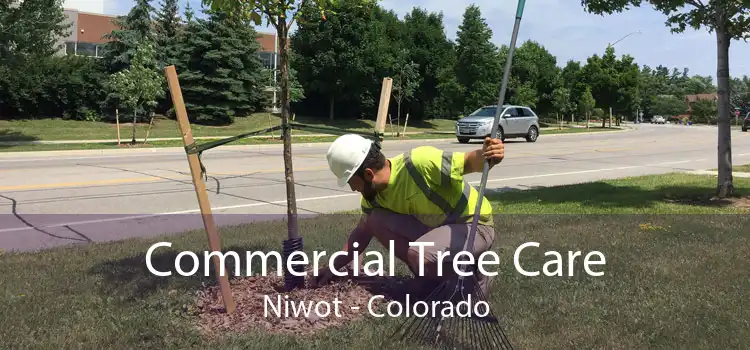 Commercial Tree Care Niwot - Colorado