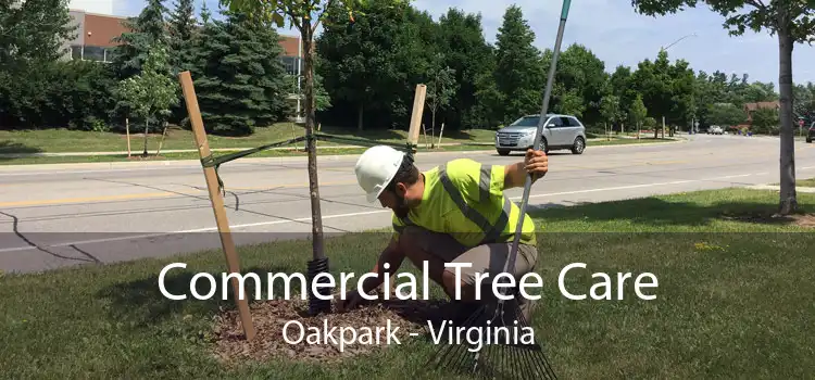 Commercial Tree Care Oakpark - Virginia