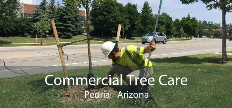 Commercial Tree Care Peoria - Arizona