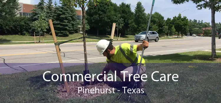 Commercial Tree Care Pinehurst - Texas