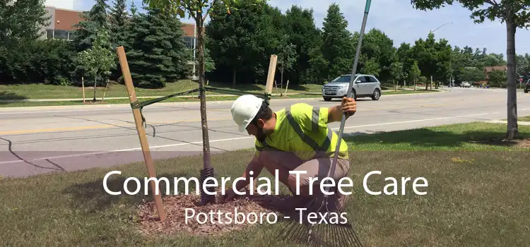 Commercial Tree Care Pottsboro - Texas