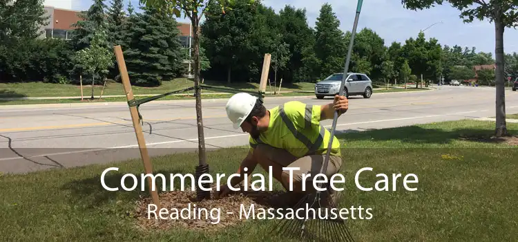 Commercial Tree Care Reading - Massachusetts