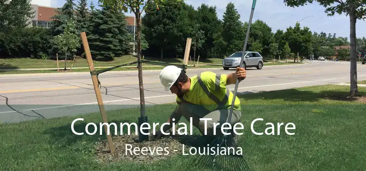 Commercial Tree Care Reeves - Louisiana