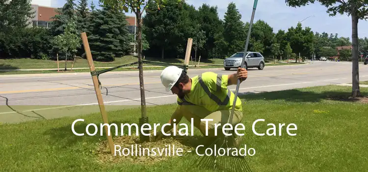 Commercial Tree Care Rollinsville - Colorado