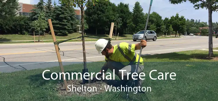 Commercial Tree Care Shelton - Washington