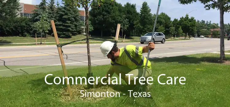 Commercial Tree Care Simonton - Texas