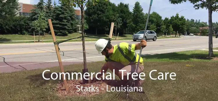 Commercial Tree Care Starks - Louisiana