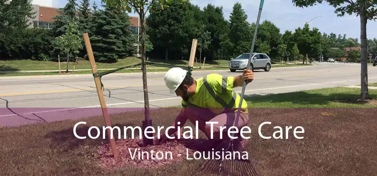 Commercial Tree Care Vinton - Louisiana