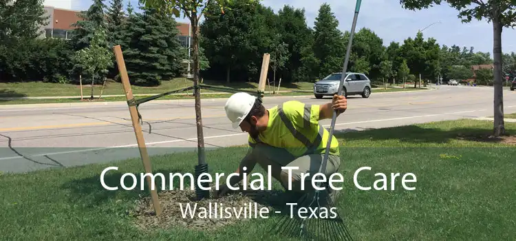 Commercial Tree Care Wallisville - Texas