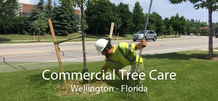 Commercial Tree Care Wellington - Florida