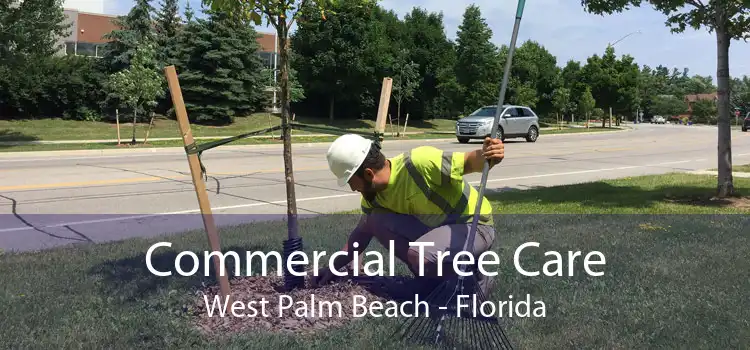 Commercial Tree Care West Palm Beach - Florida