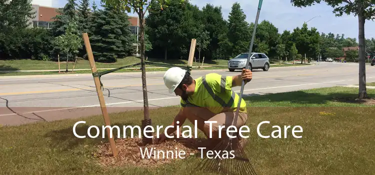 Commercial Tree Care Winnie - Texas