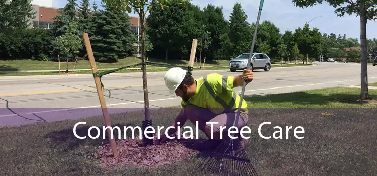 Commercial Tree Care 