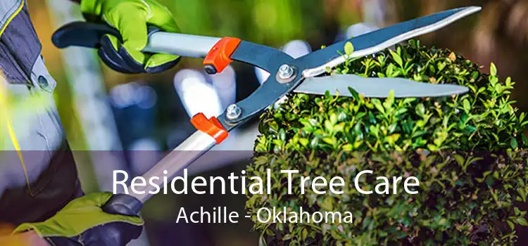 Residential Tree Care Achille - Oklahoma