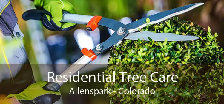 Residential Tree Care Allenspark - Colorado