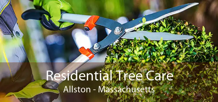 Residential Tree Care Allston - Massachusetts