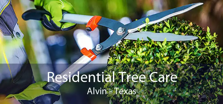 Residential Tree Care Alvin - Texas