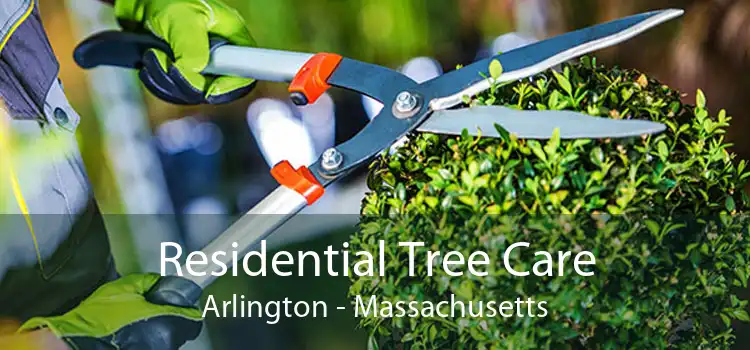 Residential Tree Care Arlington - Massachusetts