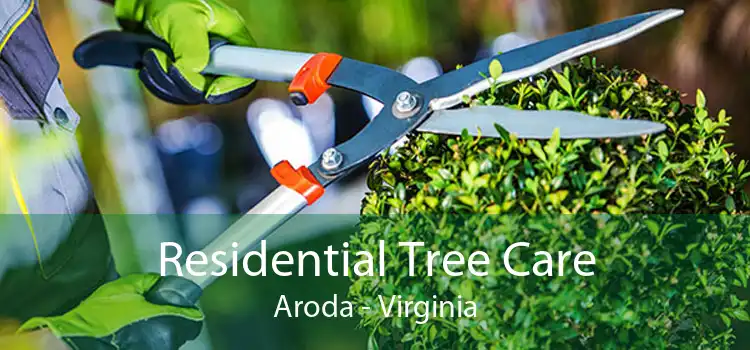 Residential Tree Care Aroda - Virginia