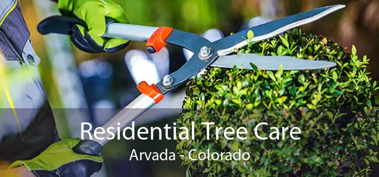 Residential Tree Care Arvada - Colorado