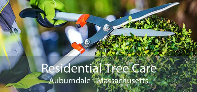 Residential Tree Care Auburndale - Massachusetts