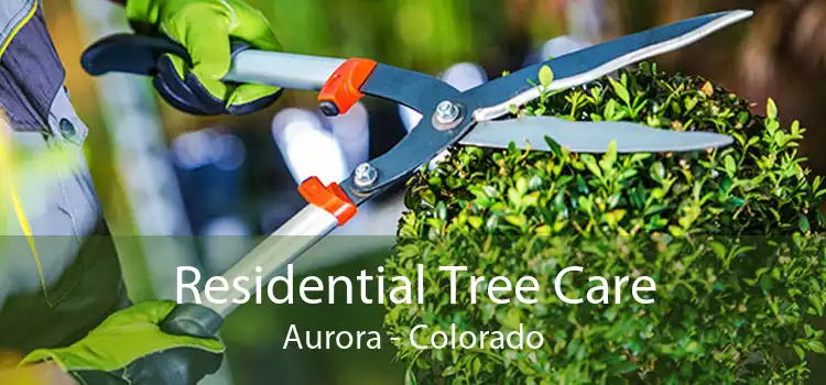 Residential Tree Care Aurora - Colorado