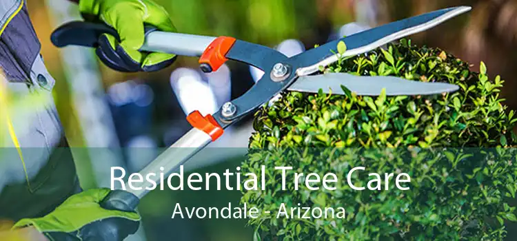 Residential Tree Care Avondale - Arizona