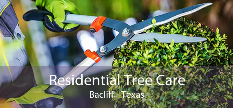 Residential Tree Care Bacliff - Texas