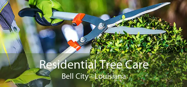 Residential Tree Care Bell City - Louisiana