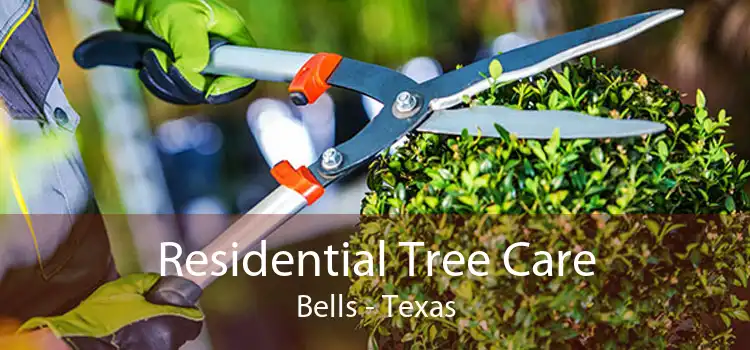 Residential Tree Care Bells - Texas