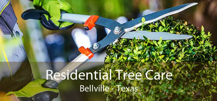 Residential Tree Care Bellville - Texas