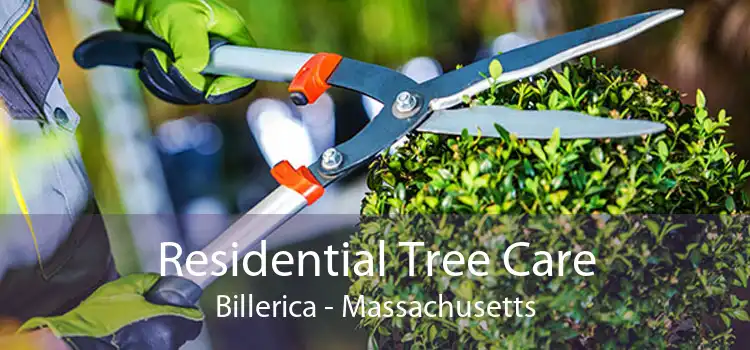 Residential Tree Care Billerica - Massachusetts