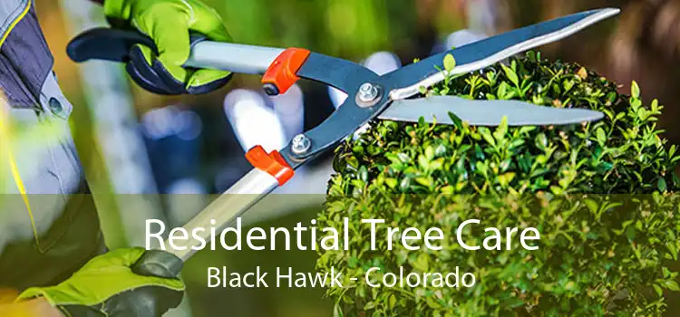 Residential Tree Care Black Hawk - Colorado