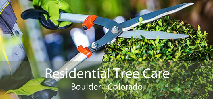 Residential Tree Care Boulder - Colorado