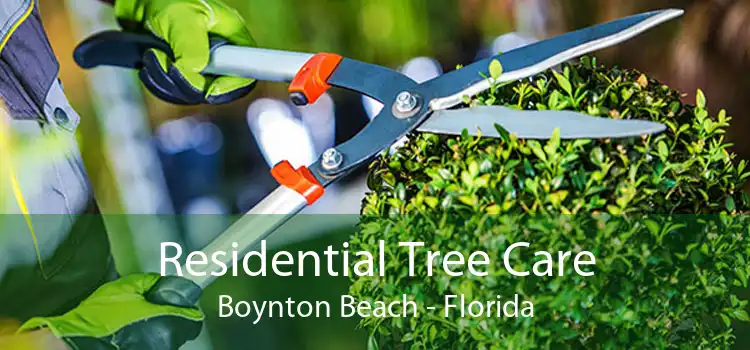 Residential Tree Care Boynton Beach - Florida