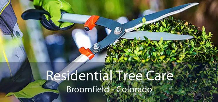 Residential Tree Care Broomfield - Colorado