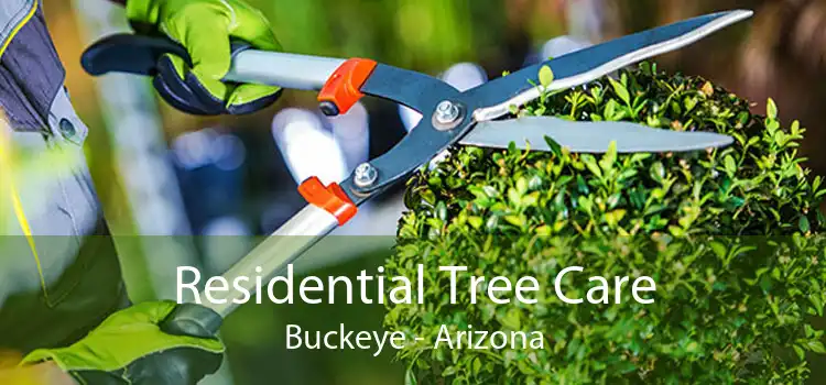 Residential Tree Care Buckeye - Arizona