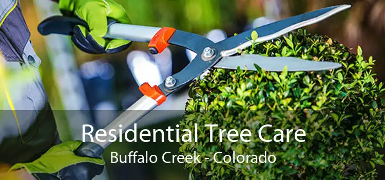 Residential Tree Care Buffalo Creek - Colorado