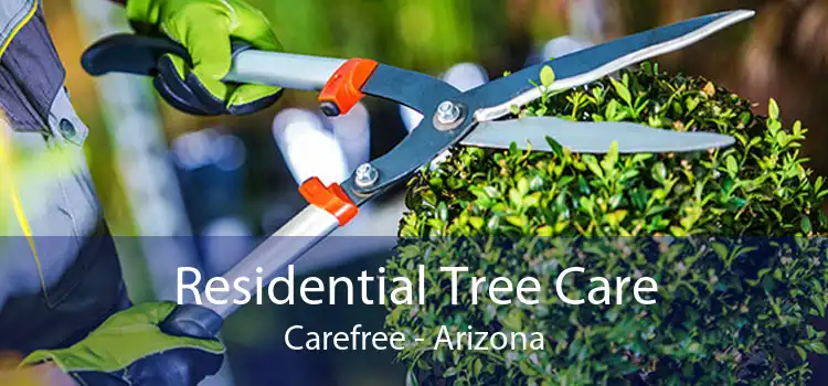 Residential Tree Care Carefree - Arizona