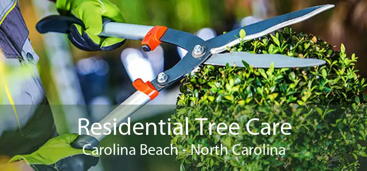 Residential Tree Care Carolina Beach - North Carolina