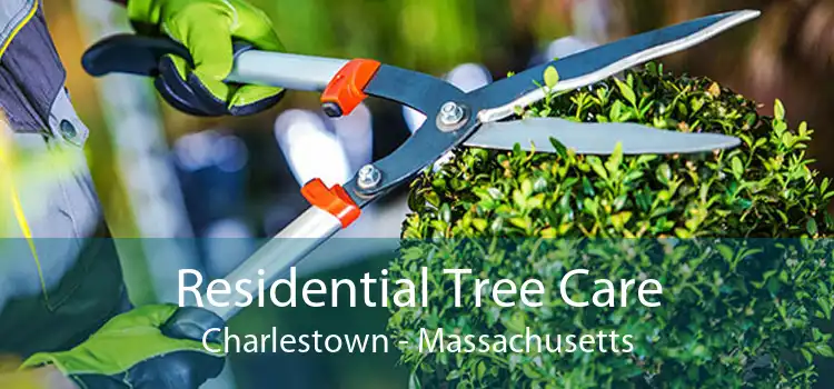 Residential Tree Care Charlestown - Massachusetts