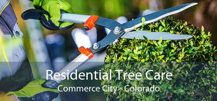 Residential Tree Care Commerce City - Colorado